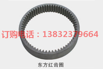 东方红齿圈
